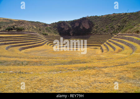 Muräne ist eine archäologische Stätte in Peru ca. 50 km nordwestlich von Cusco auf einem Hochplateau auf ca. 3500 m. Stockfoto