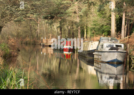 Bunte Boote und Kähne (NARROWBOATS oder schmale Boote) auf der Basingstoke Canal in der Nähe von Mytchett in Surrey, Großbritannien Stockfoto