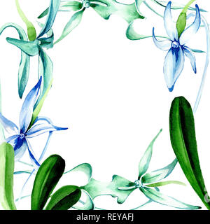 Blau seltene Orchidee. Florale botanischen Blume. Wild Federblatt wildflower isoliert. Aquarell Hintergrund Abbildung. Aquarell Zeichnung Mode ein Stockfoto