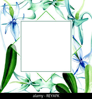 Blau seltene Orchidee. Florale botanischen Blume. Wild Federblatt wildflower isoliert. Aquarell Hintergrund Abbildung. Aquarell Zeichnung Mode ein Stockfoto