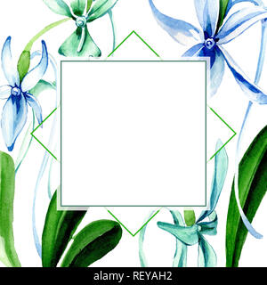 Blau seltene Orchidee. Florale botanischen Blume. Wild Federblatt wildflower isoliert. Aquarell Hintergrund Abbildung. Aquarell Zeichnung Mode ein Stockfoto