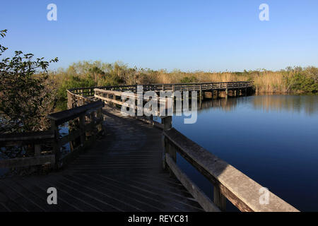 Die anhinga Trail Promenade in der Everglades National Park, Florida. Stockfoto