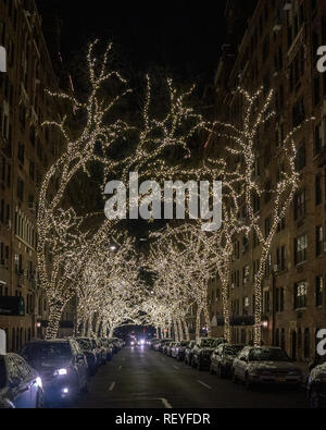 New York, USA, 22. Januar 2019. Bäume sind mit Lichtern in der Upper East Side Street in New York City geschmückt. Foto von Enrique Ufer Stockfoto