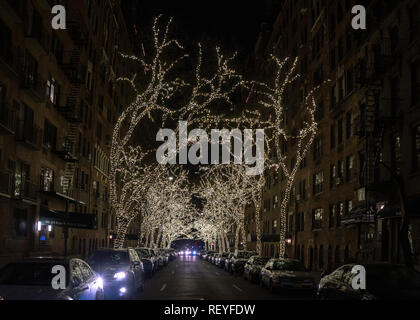 New York, USA, 22. Januar 2019. Bäume sind mit Lichtern in der Upper East Side Street in New York City geschmückt. Foto von Enrique Ufer Stockfoto