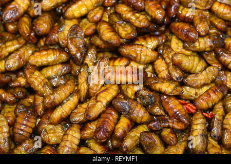Gebratene Insekten in Bangkok ** Hinweis Wählen Sie Fokus mit geringer Tiefenschärfe Stockfoto