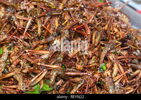 Gebratene Insekten in Bangkok ** Hinweis Wählen Sie Fokus mit geringer Tiefenschärfe Stockfoto