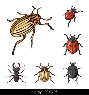 Horn, Marienkäfer, Pest, Bug, Kakerlake, Insekten, Käfer, Tier, Halloween, gezeichnet, Tattoo, Natur, botanische, Antenne, Set, Vector, Icon, Illustration, isoliert, Sammlung, Design, Element, Grafik, Zeichen, Cartoon, Farbe, Vektor, Vektoren, Stock Vektor