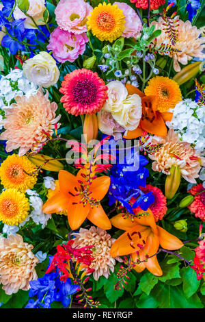 Bunte, schöne Anordnung der verschiedenen blühenden Blumen Stockfoto