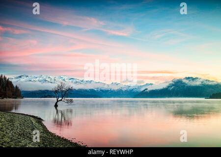 Winter am Lake Wanaka, Südinsel, Neuseeland, mit Vögel Nester in den einzelnen Baum und Nebel steigt aus dem Wasser. Stockfoto