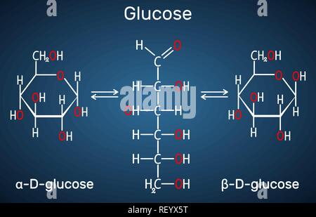 Glucose (Dextrose, D-Glukose) Molekül. Сyclic und azyklische Formen. Strukturelle chemische Formel auf dem dunkelblauen Hintergrund. Vector Illustration Stock Vektor