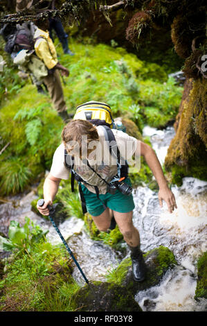 Ein Wanderer klettert über einen rutschigen Stream an Tag 2 oder der Kilembe Route, Rwenzori Nationalpark, Uganda, durch die Heide vegetation Zone Stockfoto