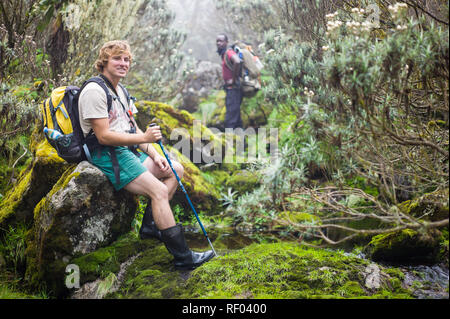 Am 2. Tag der Kilembe Route durch Rwenzori Nationalpark, Uganda, Wanderer navigieren im Heidekraut vegetation Zone, Kreuzung Moos bedeckt Felsen inmitten. Stockfoto