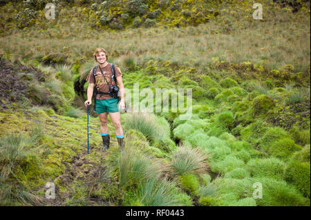 Am 3. Tag der Kilembe Route durch Rwenzori Nationalpark, Uganda, Wanderer durch die Afro-alpine Vegetation auf einer sumpfigen Trail. Stockfoto