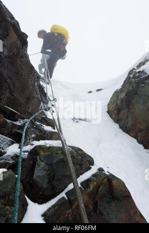 Am 6. Tag der Kilembe Route, Rwenzori Nationalpark, Uganda, Wanderer Gipfel Mount Stanley, dessen Margherita Peak ist der höchste Punkt im Land Stockfoto