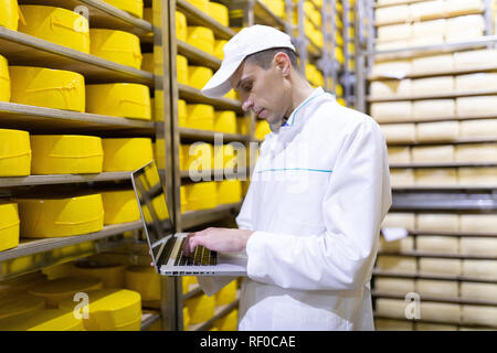 Arbeitnehmer mit einem Laptop in der Hand an der Käse Lager Stockfoto