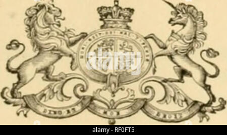 . Ein Katalog der Motten von Indien. Schmetterlinge, Lepidoptera