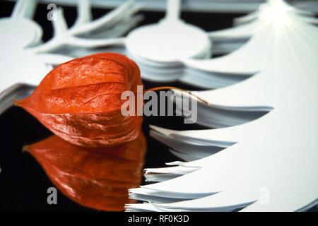 Vorbereitung umweltfreundliche Weihnachtsschmuck Konzept. Nahaufnahme der Stapel weißes Papier, Ornament und Physalis alkekengi Obst Stockfoto