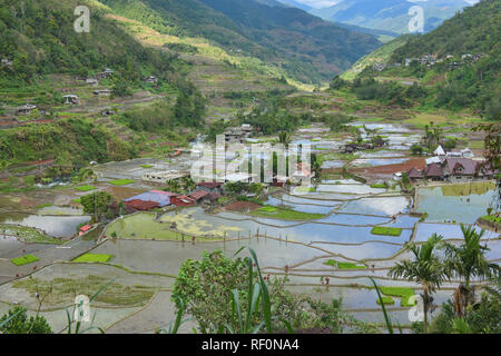 Die wunderschöne UNESCO Reisterrassen in Hapao, Banaue, Mountain Province, Philippinen Stockfoto