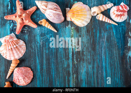 Seashell und Star fisch Rahmen auf rustikalen Holzmöbeln Textur Hintergrund Design mit Copyspace. Sommerurlaub und tropischen Strand Travel Concept. Stockfoto