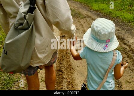 Vater und Tochter halten sich an den Händen beim Gehen im Freien in einem Wald, Mia Mia State Forest, Queensland, Australien Stockfoto