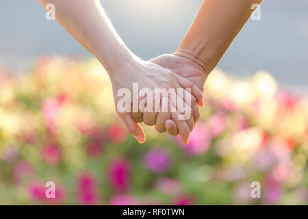 Nahaufnahme des liebenden Paar hält Hände beim Gehen in den Park bei Sonnenuntergang Stockfoto