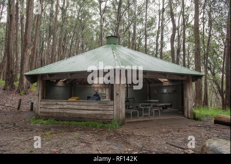 König Sattel Tierheim Stockfoto