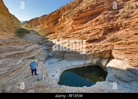 Wanderer bei Ernst Tinaja Süßwasserpools, Chihuahuan Wüste im Big Bend National Park, Texas, USA Stockfoto