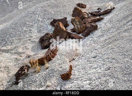 Basaltfelsen über Weiß vulkanischen Tuffen, Cerro Castellan aka Costolon Peakfläche, Ross Maxwell landschaftlich reizvolle Fahrt, Chihuahuan Wüste, Big Bend Nat Park, Texas Stockfoto