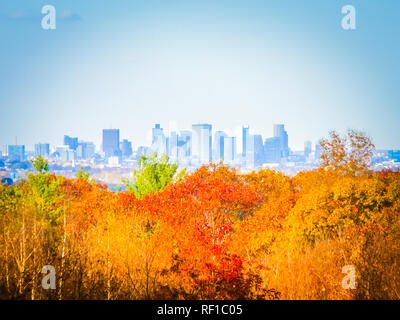 Boston Skyline Panorama Bild hinter dem Orange, gelbe und rote Blätter während Laub in Blue Hills Buchung Natural Park, Massachusetts, USA. Stockfoto