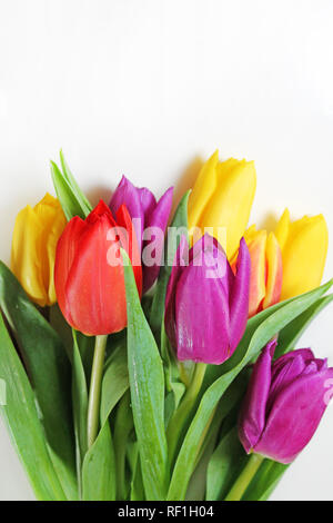 Blumenstrauß aus frischem Grün Tulpen сlose. Stockfoto