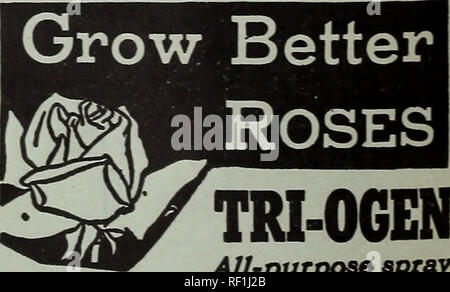 . [Katalog]: Frühjahr 1950. Baumschulen (Gartenbau) North Carolina Raleigh Kataloge; Baumschulen North Carolina Raleigh Kataloge; Samen North Carolina Raleigh Kataloge, Leuchtmittel (Pflanzen) North Carolina Raleigh Kataloge; Gemüse North Carolina Raleigh Kataloge; Gartenarbeit Nort. Unsere "Einfach Um zu abonnieren "Magazin Service Als besonderen Service für unsere Kunden haben wir eine Bestellung leer in diesem Katalog, die es Ihnen leicht macht, um "FARM JOURNAL" und "BÄUERIN", "Pfad-FINDER." "AMERIKANISCHE GEFLÜGEL JOURNAL" und alle Ihre Lieblings m eingeschlossen Stockfoto