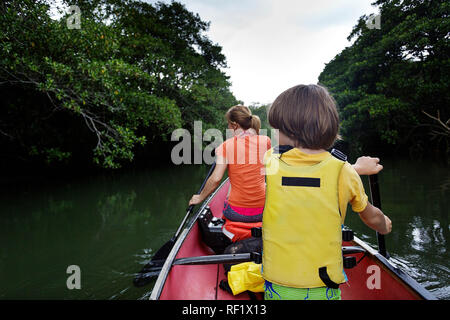 Mutter und Sohn Kanu auf einem Fluß in den Mangrovenwald, flachkopfkatze, Japan Stockfoto