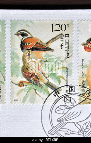 CHINA - ca. 2008: einen Stempel in China gedruckt zeigt 2008-4 Vögel von China, ca. 2008. Stockfoto