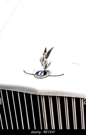 Bentley Auto: Motorhaube und Logo Stockfoto