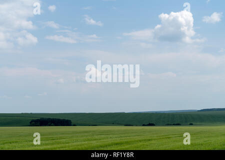 Frühjahr die landwirtschaftliche Landschaft, Georgios Tovtry Nationalpark, Podolien anbrachte Region der Ukraine Stockfoto