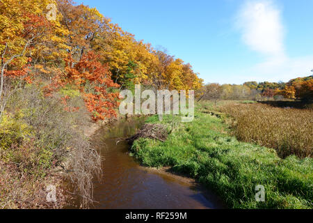 Herbst Farben Flanke Schleifstein Creek in Burlington, Ontario's Hendrie Tal.