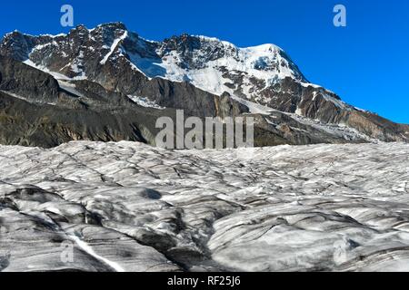 Breithorn Berg über dem Eis Feld der Gornergletscher, Zermatt, Wallis, Schweiz Stockfoto