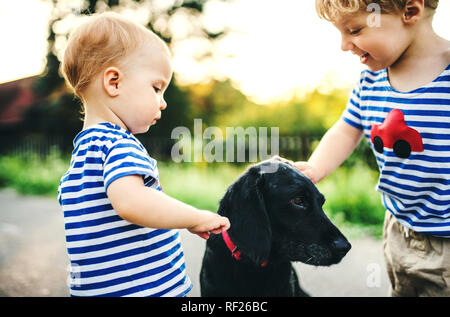 Kleinkind und seine kleine Schwester streichelt Hund im Freien Stockfoto