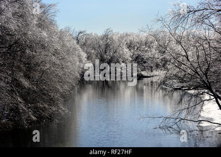 Eis bedeckt Bäume am Ufer der Mill River. New Haven, CT. Januar 22, 2018 Stockfoto