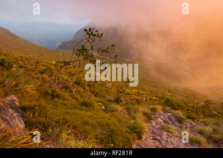 Ein Sonnenuntergang Wanderung auf den Devil's Peak unglaubliche Aussicht afords wie die Sonne taucht unter dem Atlantischen Ozean Horizont, Cape Town, Western Cape Provinz, Südafrika Stockfoto