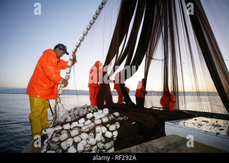 Sardine Fischerboot "jastreb", in Kali auf der Insel Ugljan, in der eine Fischerei Aufstellungsort weg von Pag Insel in der Adria, Kroatien Stockfoto