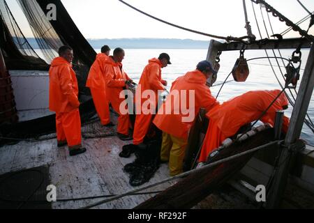 Sardine Fischerboot "jastreb", in Kali auf der Insel Ugljan, in der eine Fischerei Aufstellungsort weg von Pag Insel in der Adria, Kroatien Stockfoto