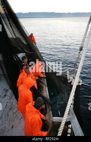 Sardine Fischerboot "jastreb", in Kali auf der Insel Ugljan, in der eine Fischerei Aufstellungsort weg von Pag Insel in der Adria, Kroatien Stockfoto