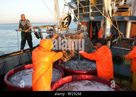 Sardine Fischerboot "jastreb", in Kali auf der Insel Ugljan, in der eine Fischerei Aufstellungsort weg von Pag Insel in der Adria, Kroatien Stockfoto