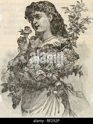 . Katalog der floralen Schönheiten, für das Frühjahr 1896. Baumschulen Ohio Springfield Kataloge; Blumen; Rosen Kataloge Kataloge; Pflanzen, Zierpflanzen Kataloge, Baumschulen, Blumen, Rosen, Pflanzen, Zierpflanzen. Preis, T CENT. Bitte beachten Sie, dass diese Bilder sind von der gescannten Seite Bilder, die digital für die Lesbarkeit verbessert haben mögen - Färbung und Aussehen dieser Abbildungen können nicht perfekt dem Original ähneln. extrahiert. Great Western Pflanze Co; Henry G. Gilbert Baumschule und Saatgut Handel Katalog Kollektion. Springfield, Ohio: Great Western Pflanze Co. Stockfoto