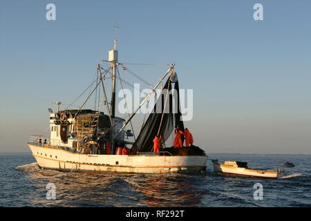 Sardine Fischerboot "jastreb", in Kali auf der Insel Ugljan, in der eine Fischerei Aufstellungsort weg von Pag Insel in der Adria, Kroatien Stockfoto