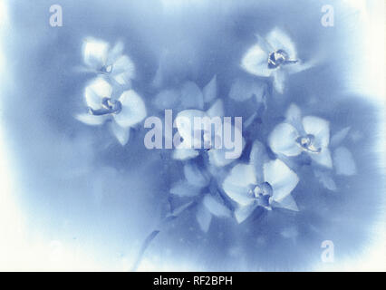 Weiße Orchidee Blumen auf dem dunkelblauen Hintergrund Aquarell Stockfoto