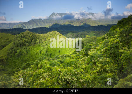 Die Kuilau Ridge Trail erforscht von Kauai scenic gebirgigen Inneren in Hawaii, United States. Stockfoto