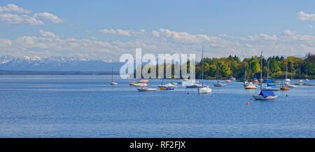 Ammersee mit Segelbooten in der Nähe von Utting und die schneebedeckten Gipfel der Alpen im Hintergrund, Ammersee, Herrsching, Bayern Stockfoto