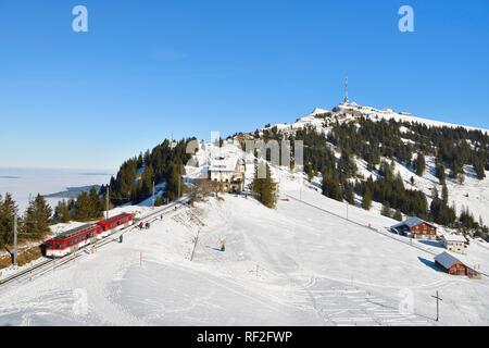 Zahnradbahn, verschneiten Rigi Staffel und Kulm, Vitznau, Kanton Luzern, Schweiz Stockfoto